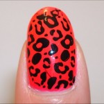 Neon Pink & Black Leopard Swatches
