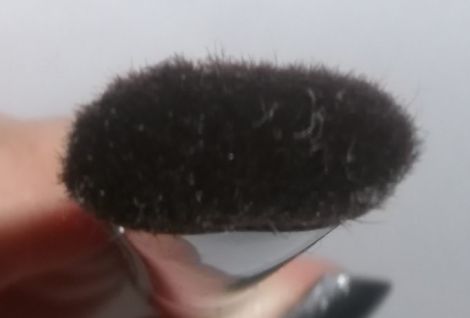 Image of Crown Studio C135 Oval Shadow