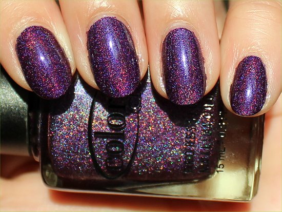 Color Club Wild At Heart Review & Swatches