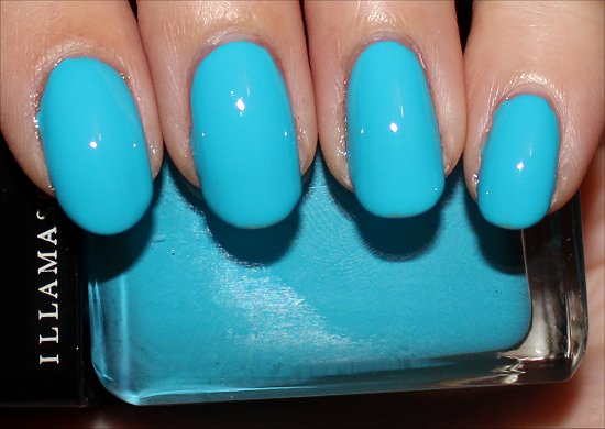 Illamasqua Noble Review & Swatches