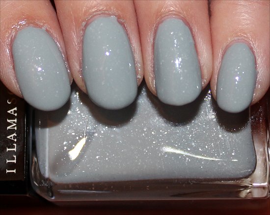 Illamasqua Raindrops Review & Swatch