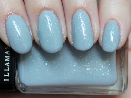 Illamasqua Raindrops Review & Swatch