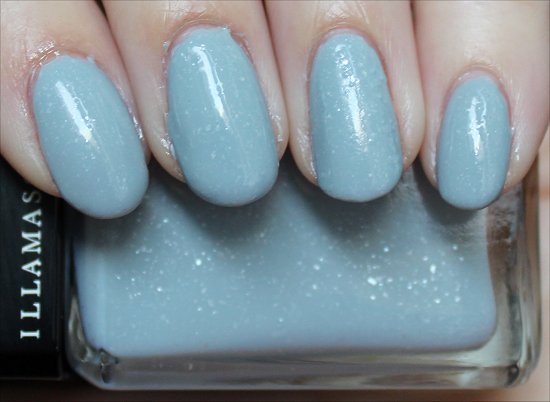 Illamasqua Raindrops Swatch & Pictures