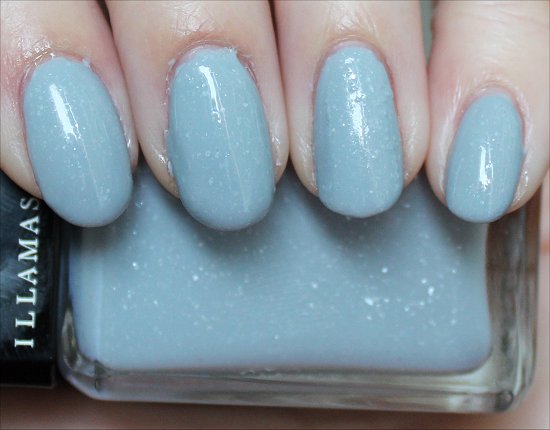 Illamasqua Raindrops Swatch & Review
