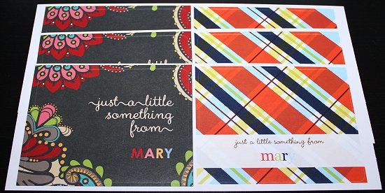 Erin Condren Stickers Sample Pack