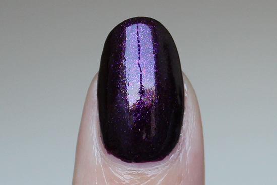 Pretty Serious Kasmir Swatch Swatches